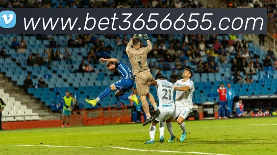 bet365中国官网服务体系